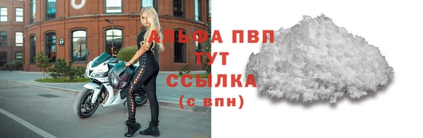 гашик Осташков