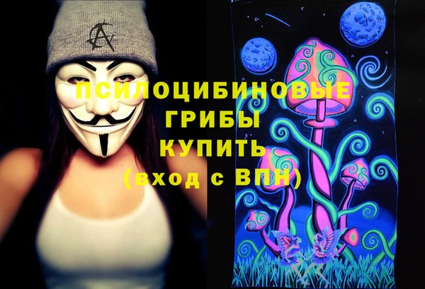 гашик Осташков