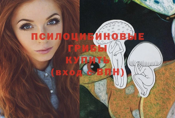 гашик Осташков