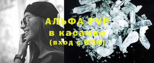 гашик Осташков