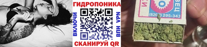 Шишки марихуана семена  Тотьма 